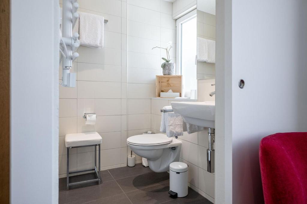 Hotel Zur Traube Brigerbad المظهر الخارجي الصورة